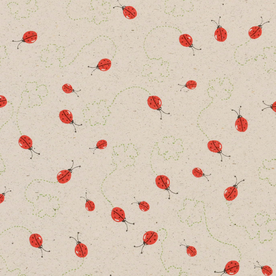 Vorderansicht Geschenkpapier Graspapier Marienkäfer 70 cm x 50 m für Großhändler