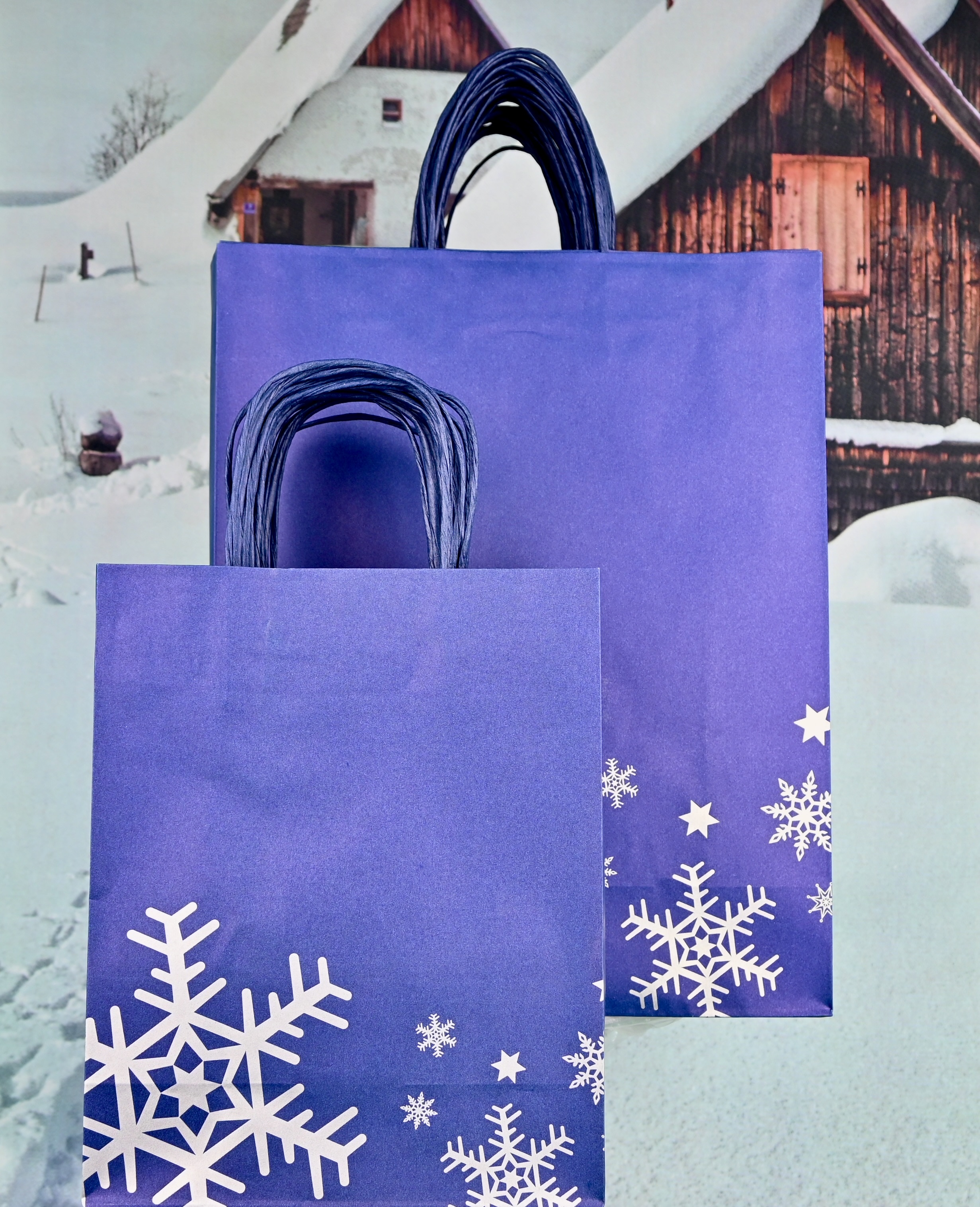 Papiertragetasche 25 Stück mit Papierkordel 22 cm, Weihnachtsmotiv 