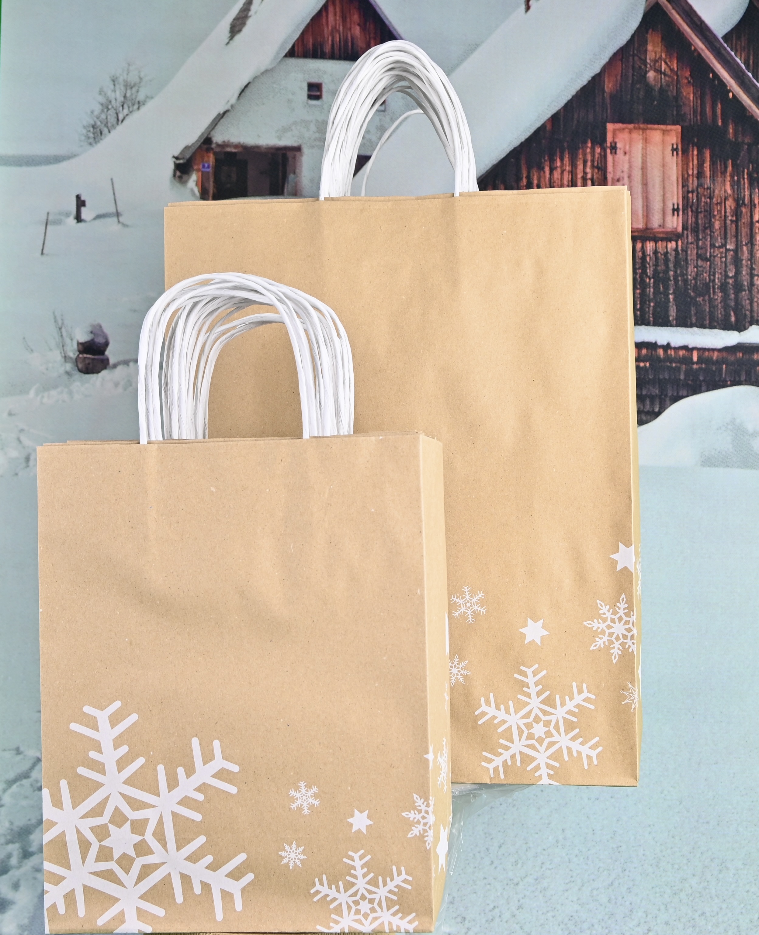 Papiertragetasche 25 Stück mit Papierkordel 22 cm, Weihnachtsmotiv