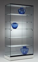 Ganzglasvitrine 900x460x1820mm Ganzglasvitrine 900x460x1820mm