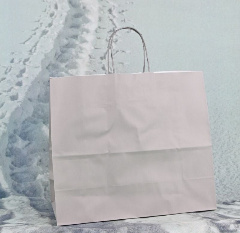 Papiertragetasche Grau mit Papierkordel, stabil, wiederverwendbar und ideal für Geschenke, Events und Einzelhandel