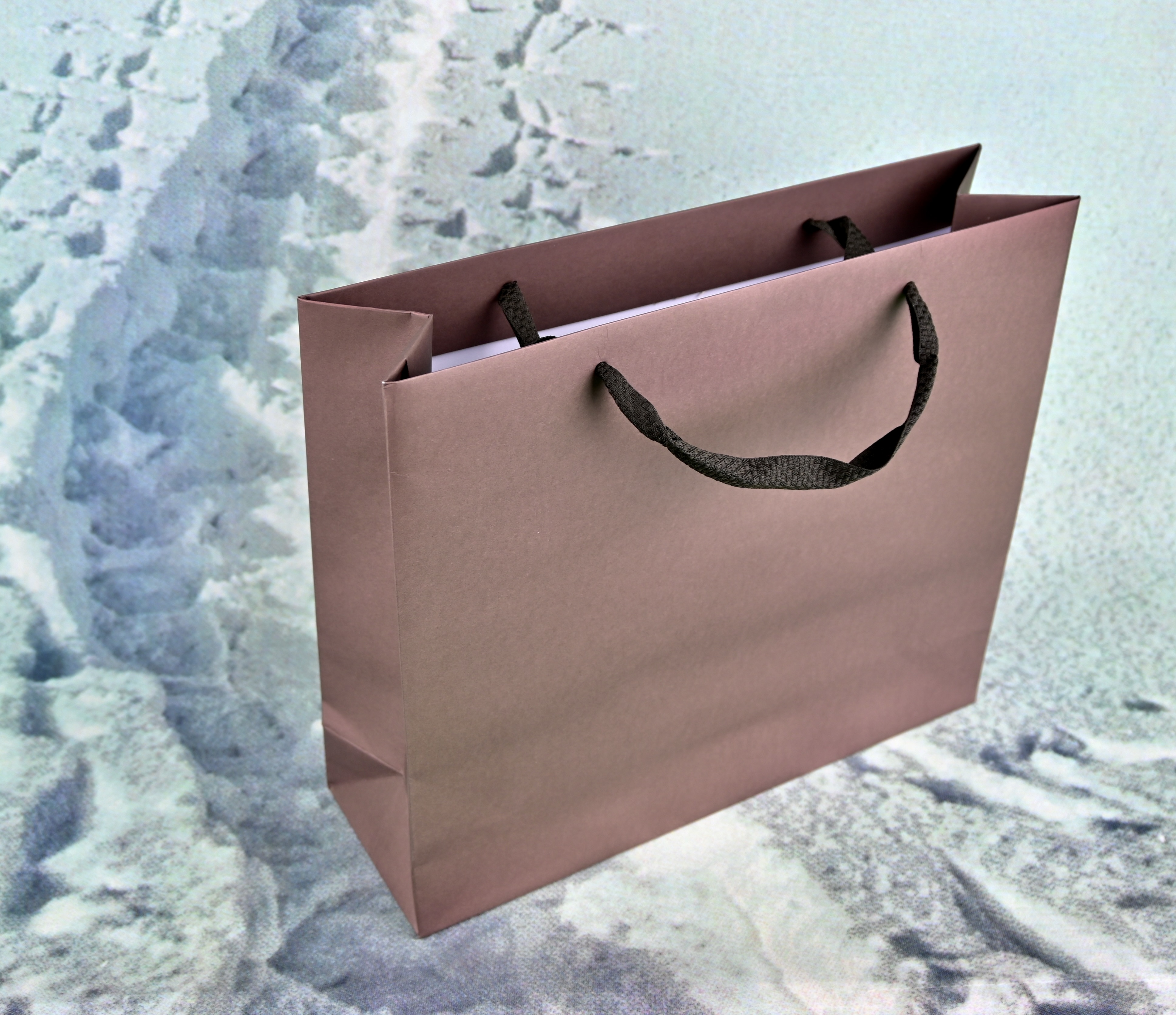 Papiertragetasche braun mit Stoffband, 10 Stück Papiertragetasche braun mit Stoffband, 10 Stück
